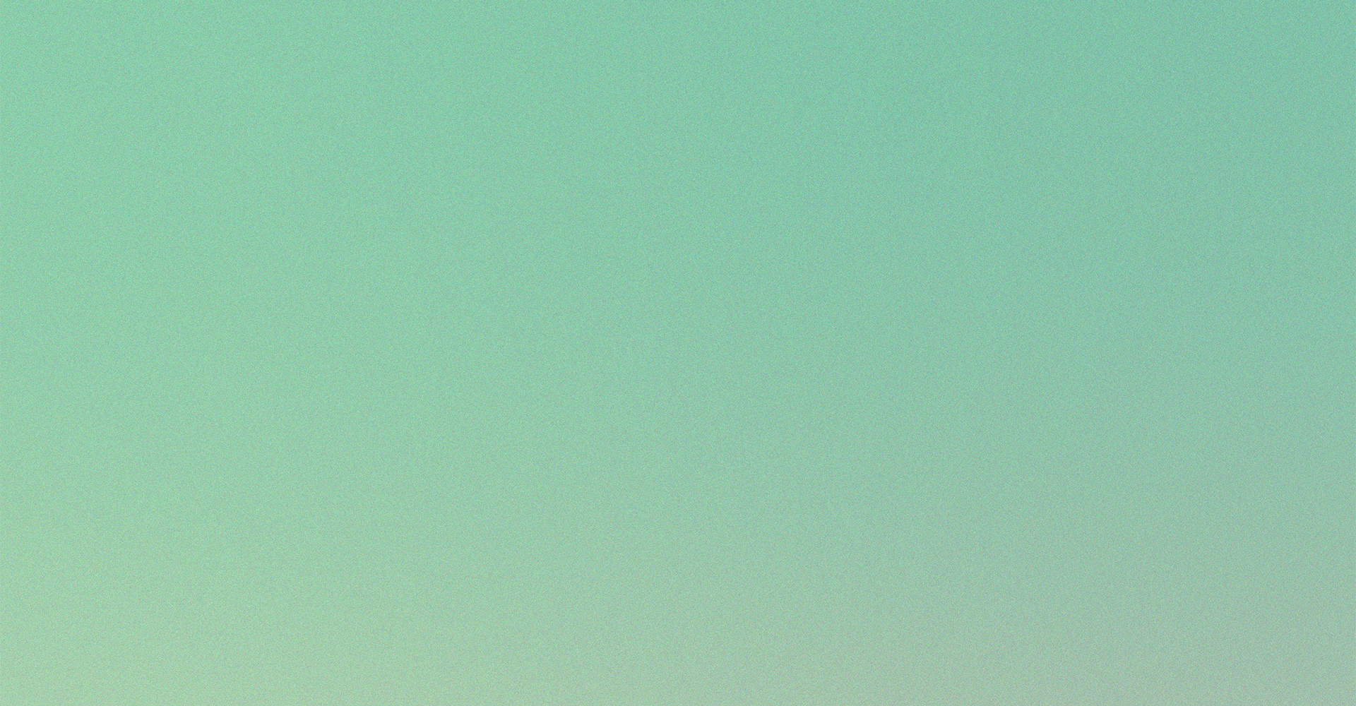 NO-BRAINER Gradation